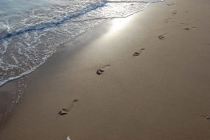Long walks on Wilderness Beach