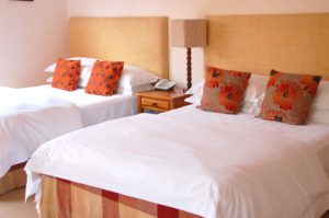 Africa Room