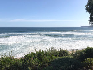 Shell Room View - Wilderness Accommodation