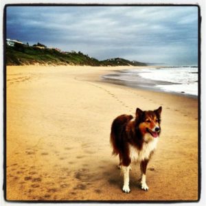 Wilderness Beach Walks
