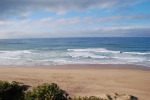 Wilderness Beach View