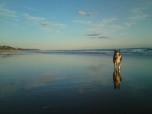 Wilderness Beach Walks